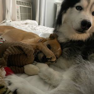 Meet your Posher, Lynn